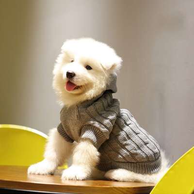 Autumn Fashion Design Turtleneck And Hoodie Cotton Dog Sweater Clothes