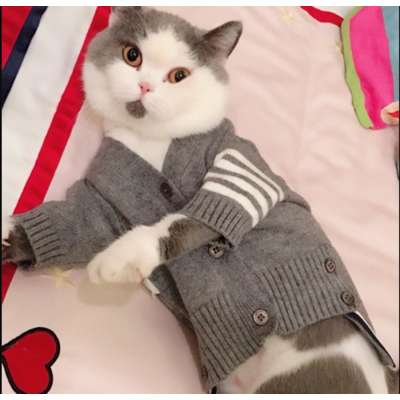 2020 Cute 100% Cotton Warm Two Foot Plain Knitted Pet Cat Sweater Cardigan